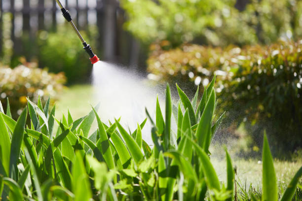 24/7 Emergency Ant Control experts in Metropolis, IL